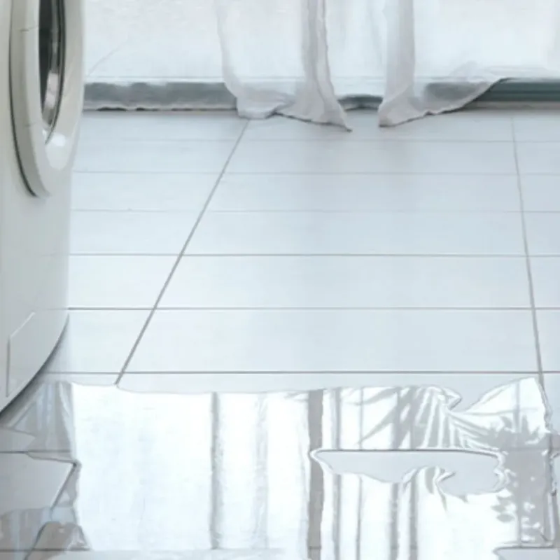 Appliance Leak Cleanup in Lamar, MO