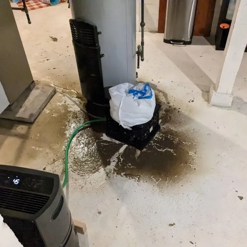 Sewage Backup Cleanup Service in Lamar, MO